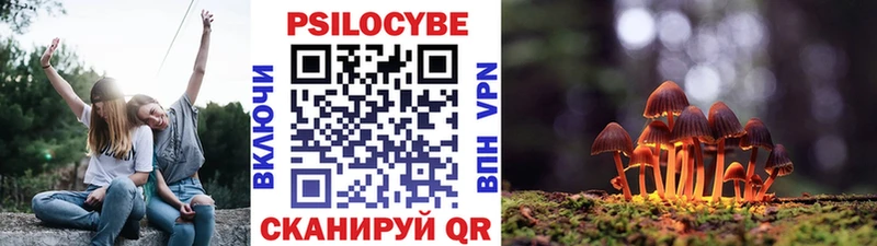 магазин  наркотиков  Покачи  Псилоцибиновые грибы прущие грибы 